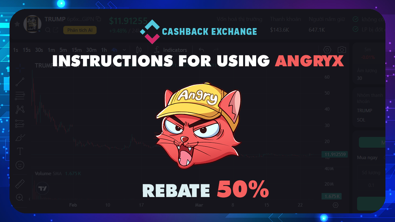 Instructions for using AngryX